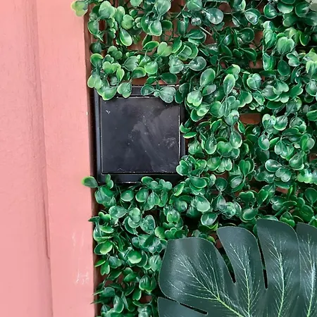 My Space As - Bo Midt Pa Torget I Tonsberg! #2 Διαμέρισμα Tønsberg