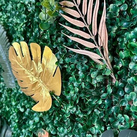 My Space As - Bo Midt Pa Torget I Tonsberg! #2 Tønsberg